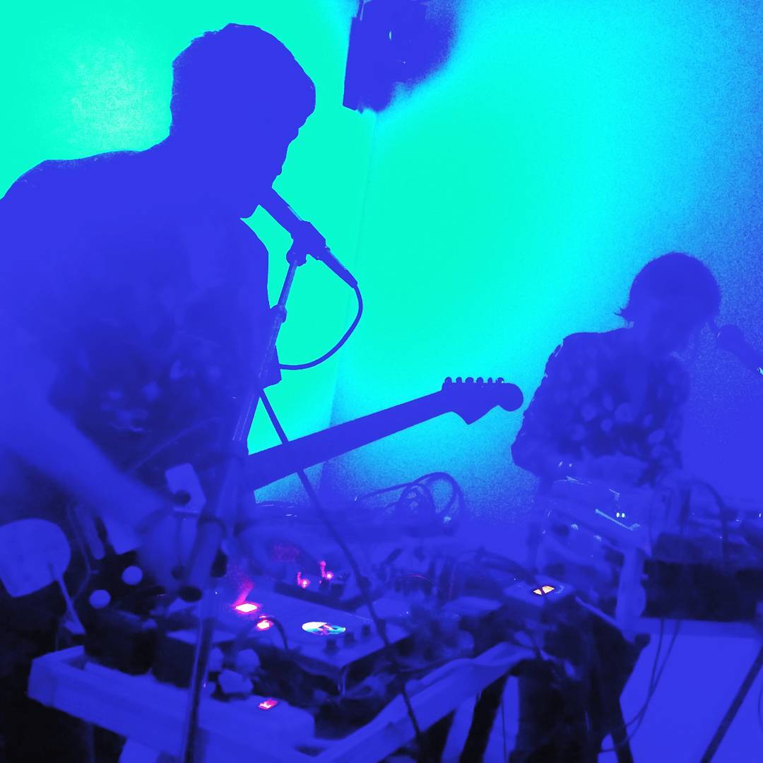 weird canada // land back tweet media