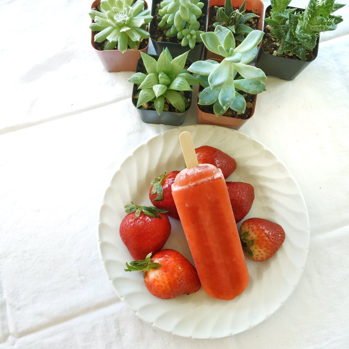 ilovesweetpops's tweet photo. Keeping it cool with a Sweet Pop! #vegan #ilovesweetpops #lifestyle https://t.co/w8I4Jh8ndq