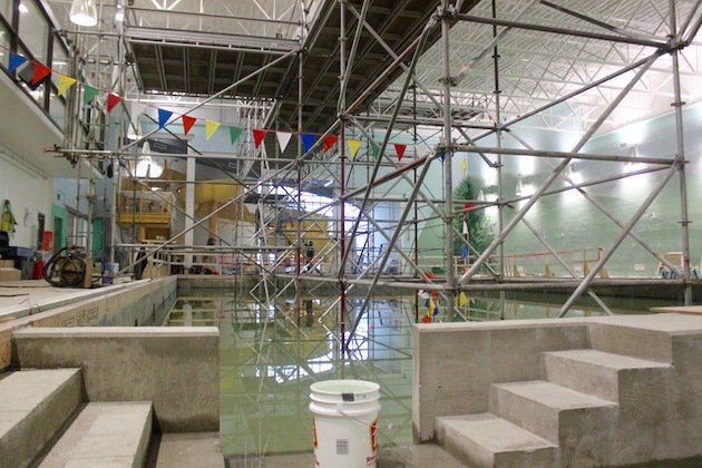 NelsonStarNews's tweet photo. Swimmers celebrate! The NDCC pool will re-open on Oct. 17 after extensive renos. https://t.co/7bj6ANNS76 https://t.co/ZQUiFxO3Tz