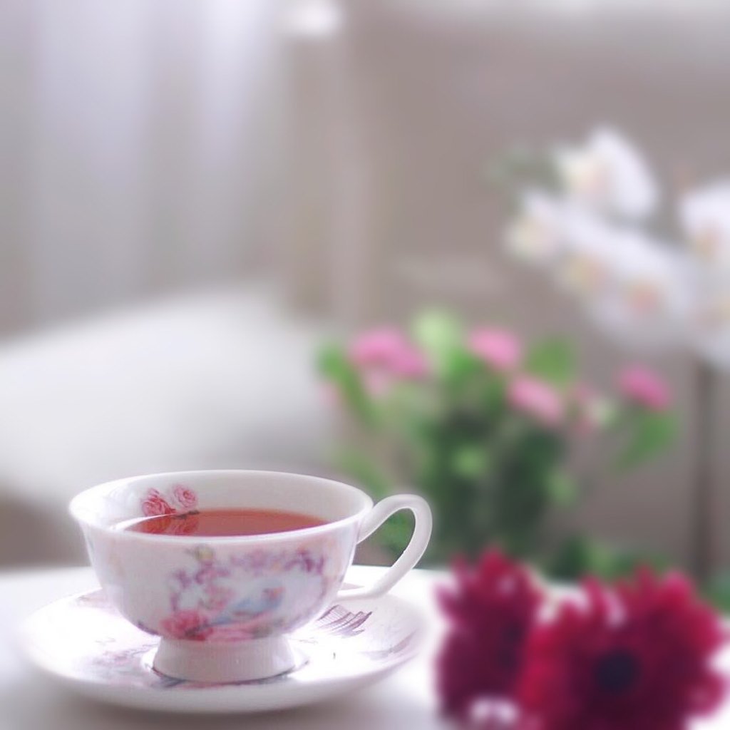 9o09o0oo's tweet photo. "سَلامٌ عليك فأنت الحيَـاة،
وكلّ الحياةِ سواك.. متاع!" ☕️💕 https://t.co/v3teTYoMeF