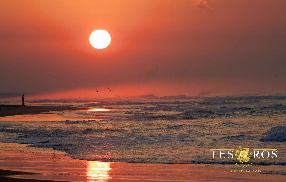 Michoacán también es Playa, sigue disfrutando del verano. #TesorosDeMéxico ow.ly/XBrk303gXgg