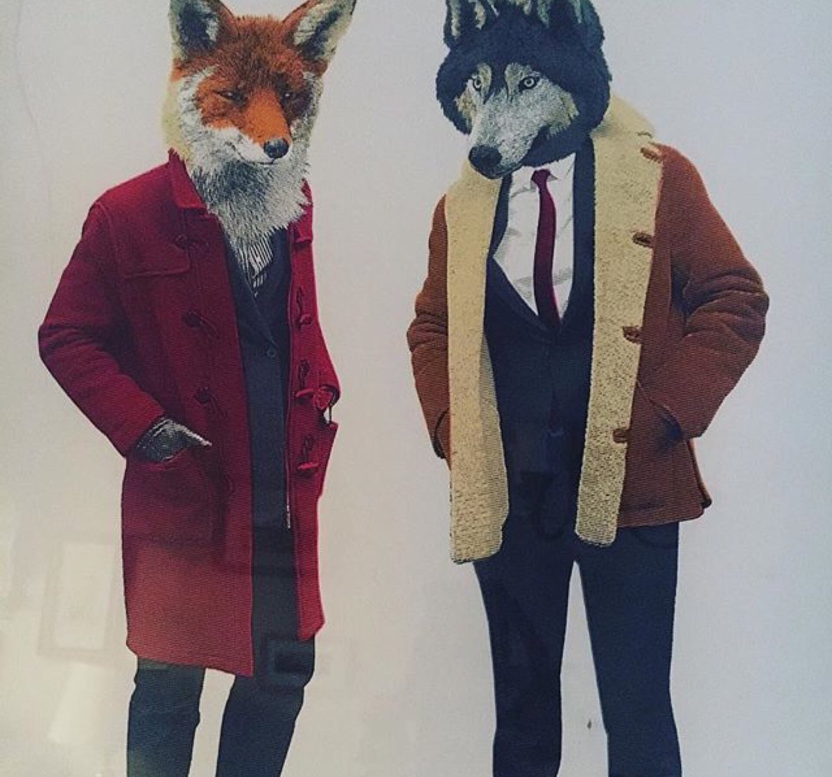 matchmaker4hire's tweet photo. What's your type? #whatdoesthefoxsay #matchmakerknows #singleguys #DatingAdvice https://t.co/Cop3Pr87IS