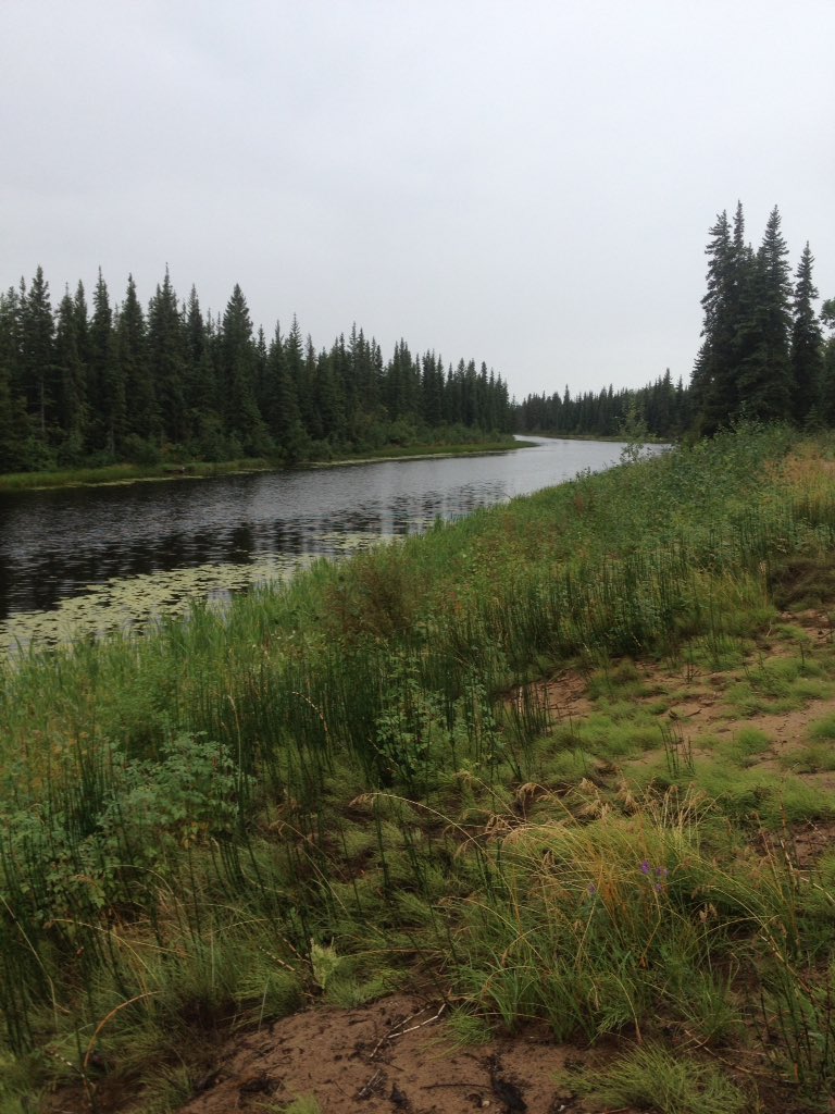 Dechinta_'s tweet photo. Visiting KFN! Want this to be your classroom? Retweet to make it happen. #Katlodeeche  #Denendeh https://t.co/j02ua1yh0p