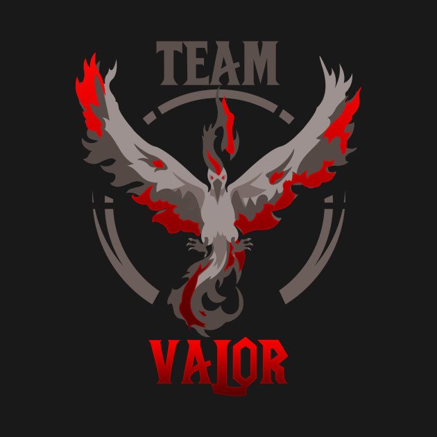 TeamCarlosChavo's tweet image. #TeamValor 
#LosChavos