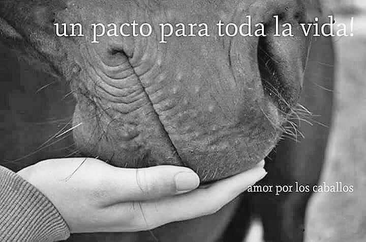 Lolɑ Gɑrcíɑ ♥ tweet media