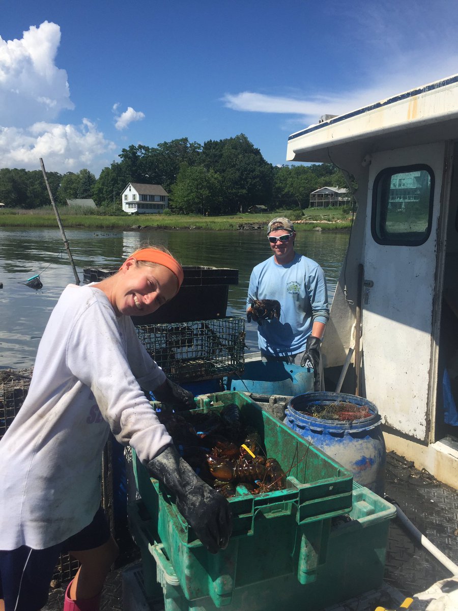 Montowese Bay Oyster (@djk242424) on Twitter photo 