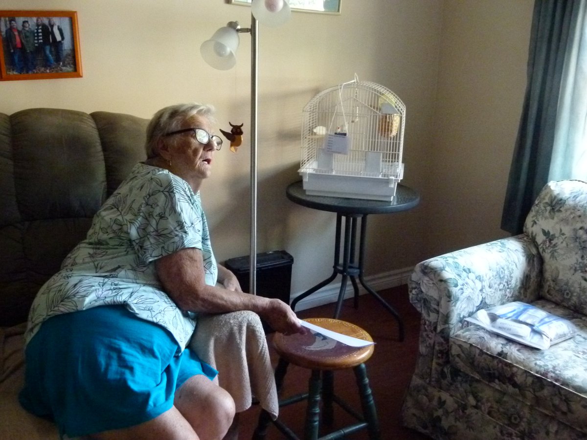 SrSavSolutions's tweet photo. These to lovely lady's are now enjoying their feathered friends that were delivered Aug 11 and more to come. https://t.co/HCH0zOfmbV