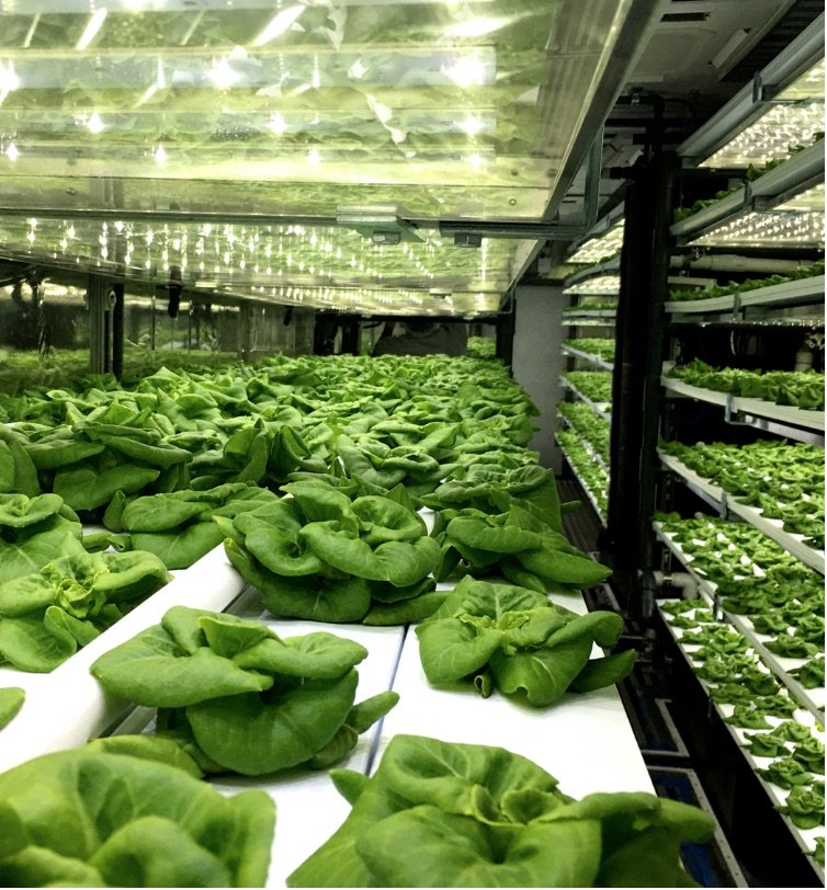 ReallyThere3D's tweet photo. #sneakpeak into what's next for the #agriculture industry! #farming #vegetables #losangeles #dtla https://t.co/P9Hs928Xtg