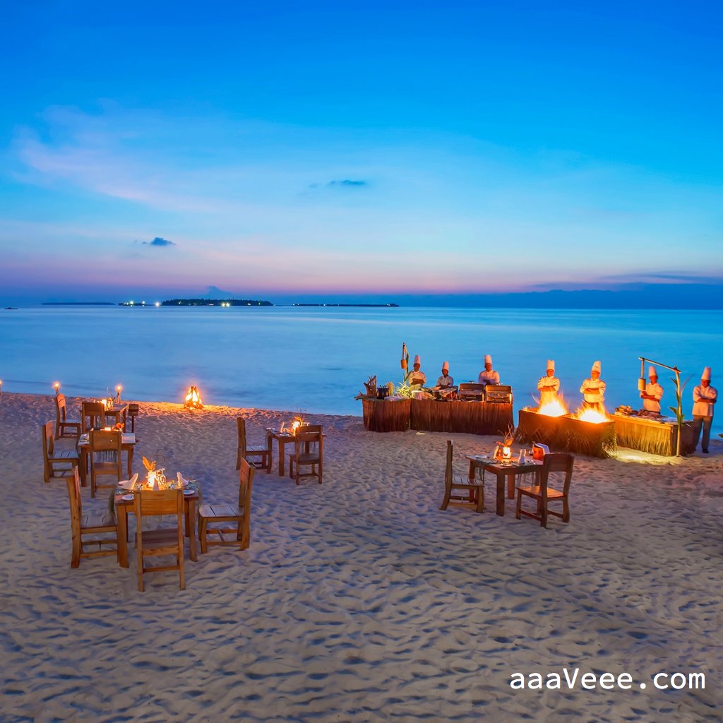 DestinationMv's tweet photo. Gorgeous @aaaVeeeMaldives is a must visit when travelling to #Maldives ☀️🌴

@ThisIsMaldives #aaaVeee #travel https://t.co/UfLnnbemcA