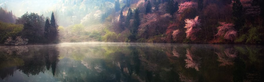 Abhishek tweet media