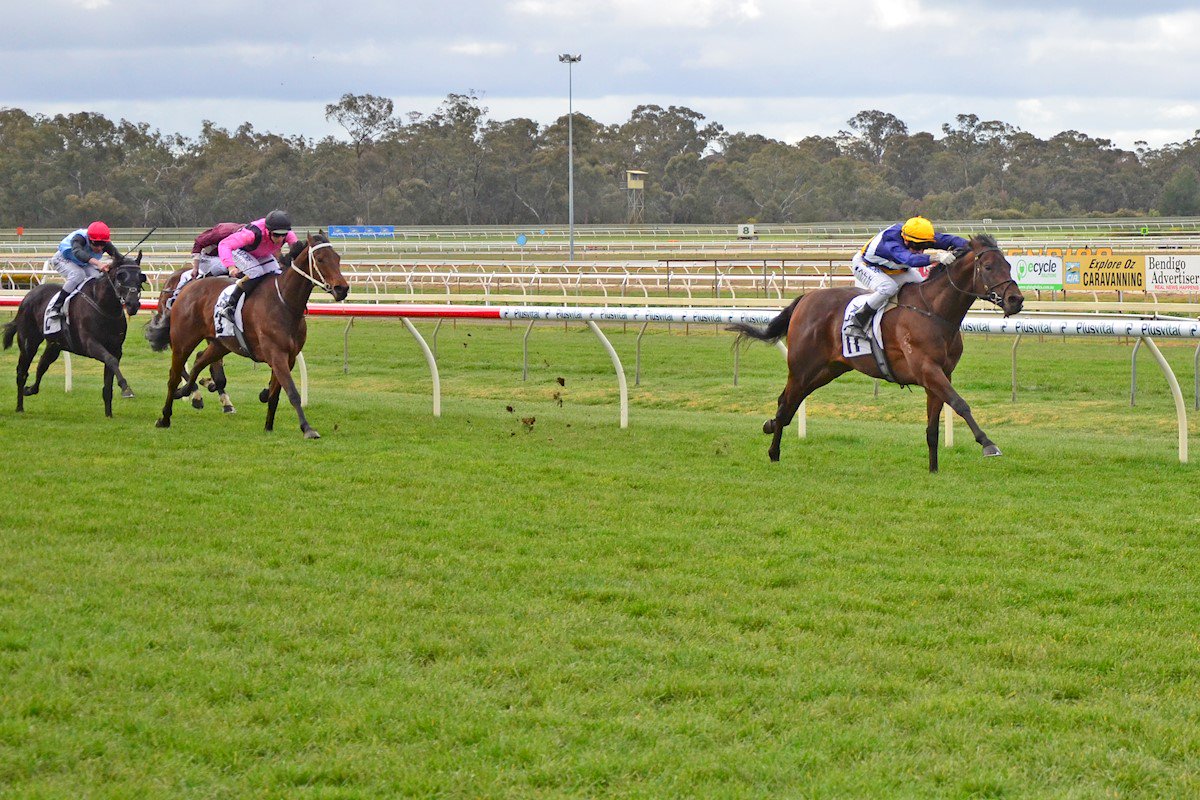 First Light Racing tweet media