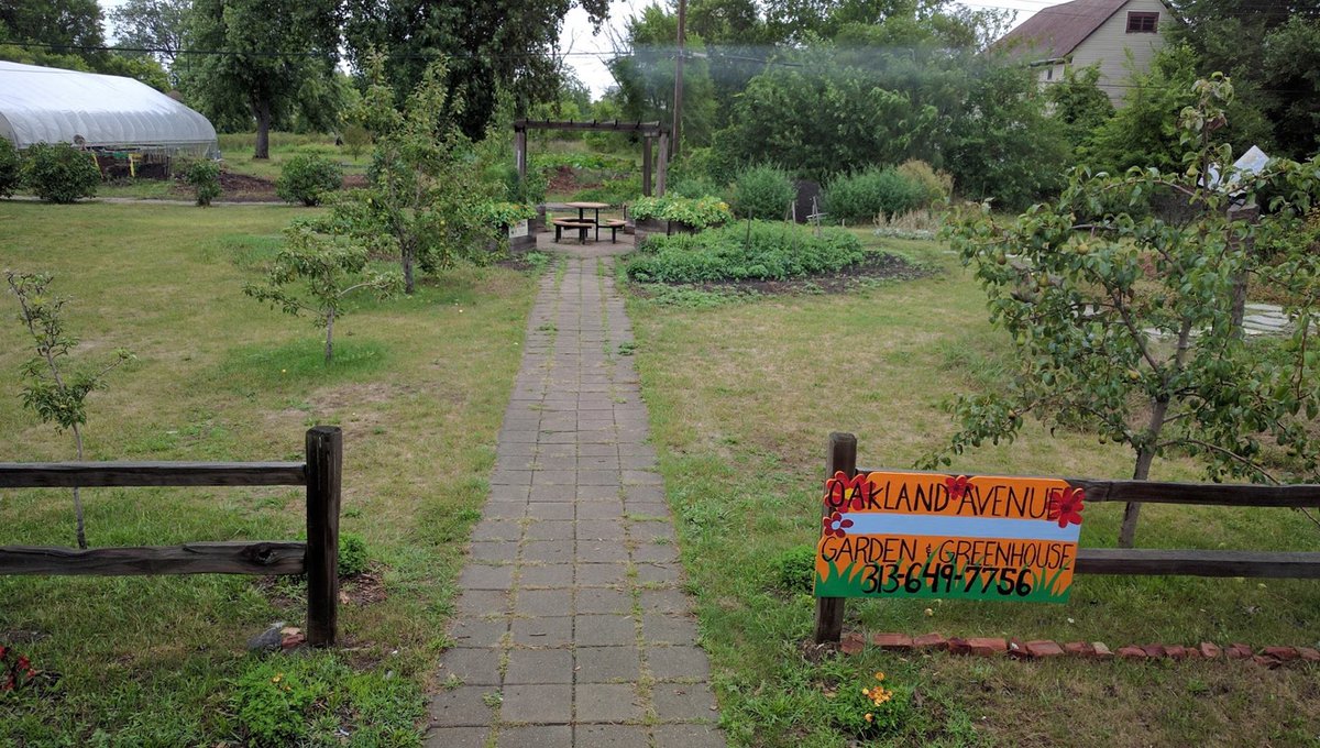 RossImpact_Sec1's tweet photo. Some delicious produce being grown at the Oakland Avenue Garden and Greenhouse in Detroit! #feedtheengine https://t.co/l6jwYVPcNk