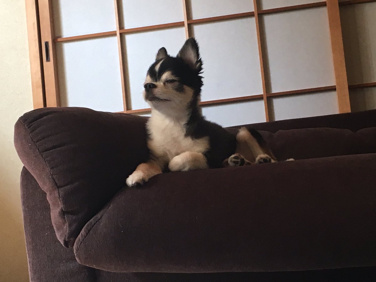 落としてからの顔