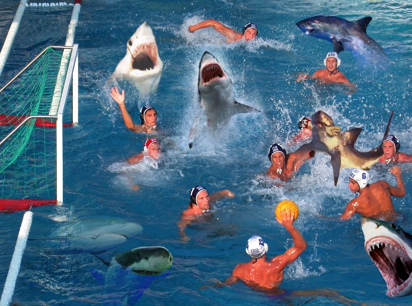 FunHouseARTcade's tweet photo. #MakeTheOlympicsMoreExciting Add Sharks to Water polo. https://t.co/AMfyOxE0r2