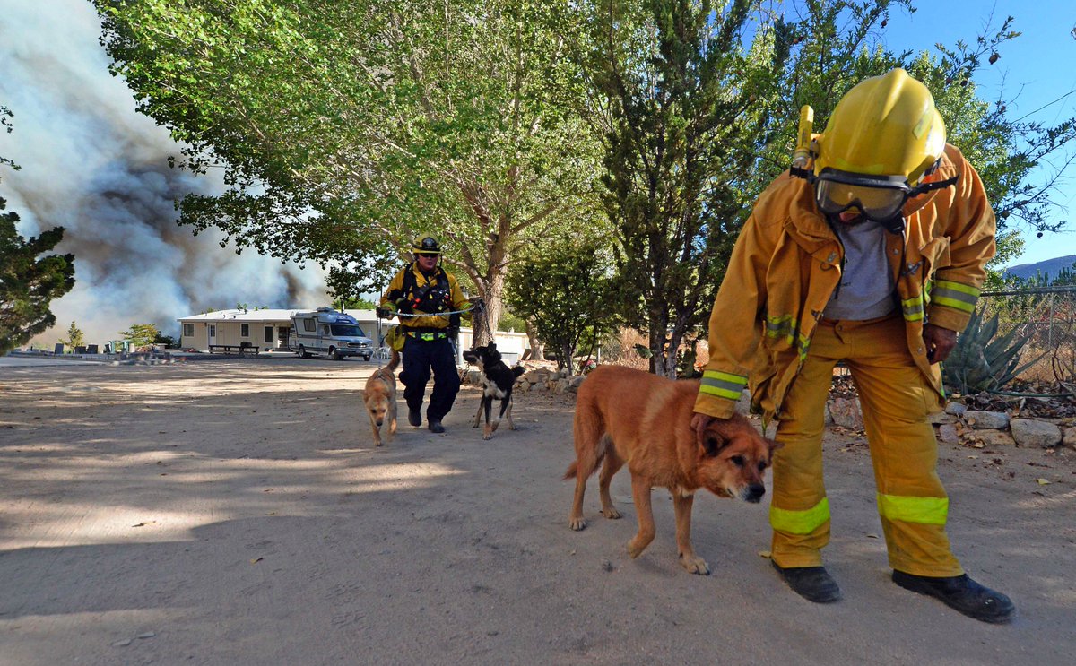 WillLesterPhoto's tweet photo. Residents off of Hess Rd. near the 138 evacuate Tuesday as the #BlueCutFire approaches https://t.co/0zIUG8E0Ol