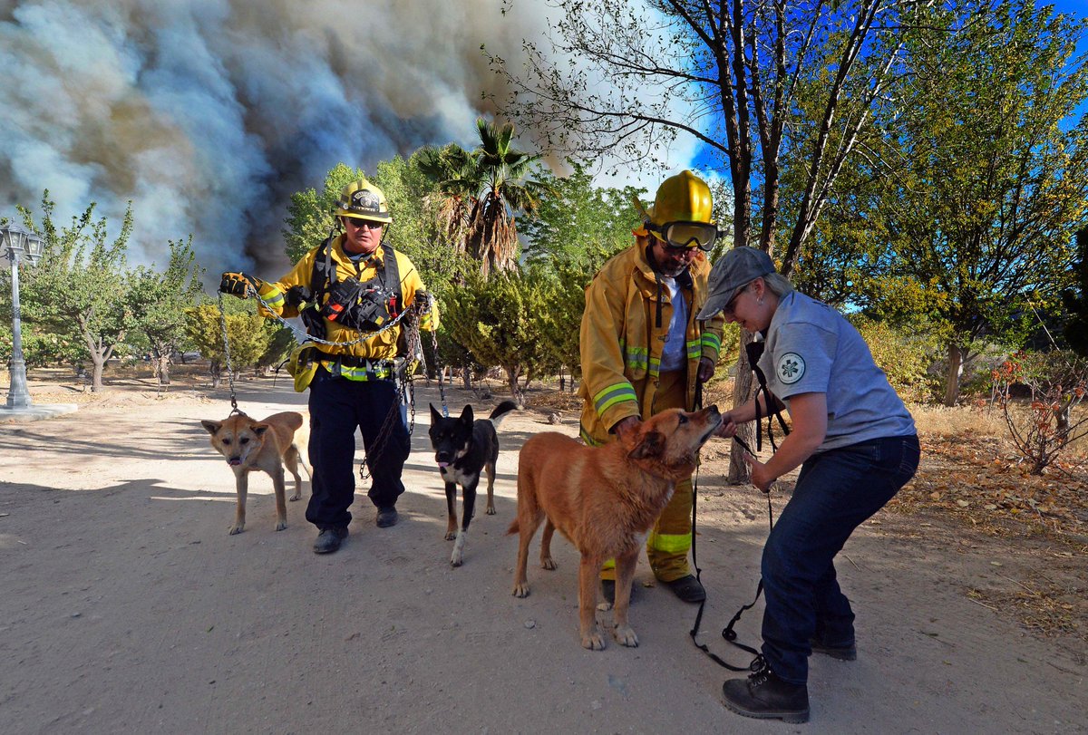 WillLesterPhoto's tweet photo. Residents off of Hess Rd. near the 138 evacuate Tuesday as the #BlueCutFire approaches https://t.co/0zIUG8E0Ol