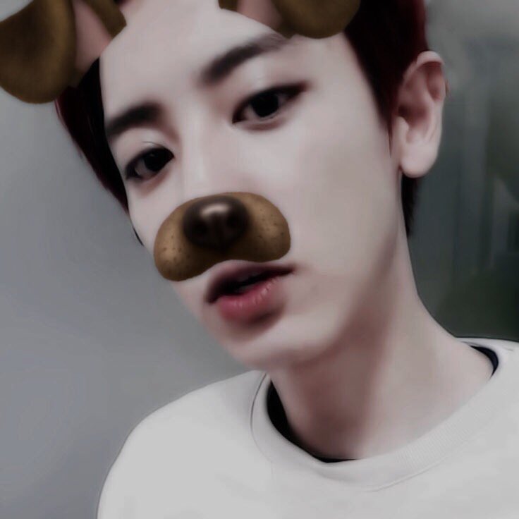 realxace's tweet photo. แจกความกาก ความตะมุตะมิ #ชานยอล #จงอิน #เซฮุน #แจกดิส https://t.co/tUeiyGH2Kk