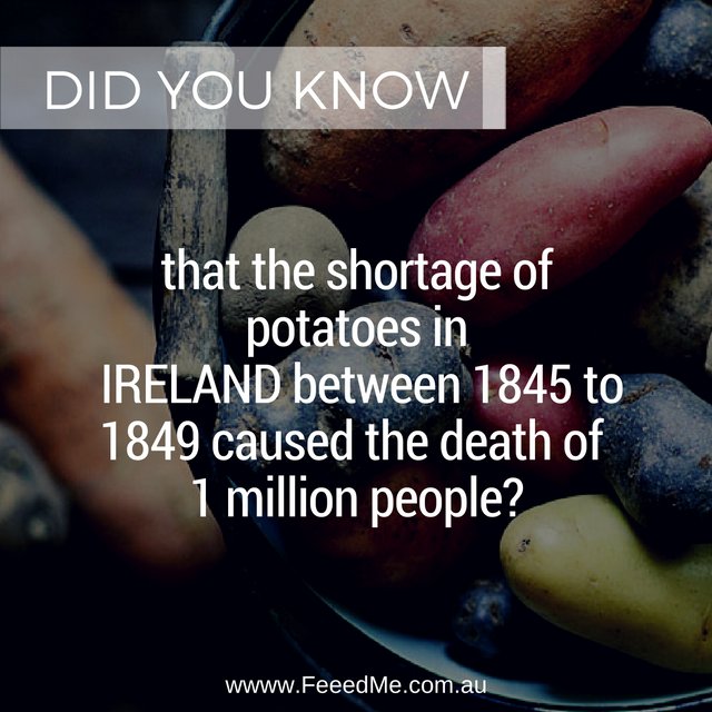 Feeed_Me's tweet image. Lesson: Don't rely on one crop only
#brisbane
#foodie