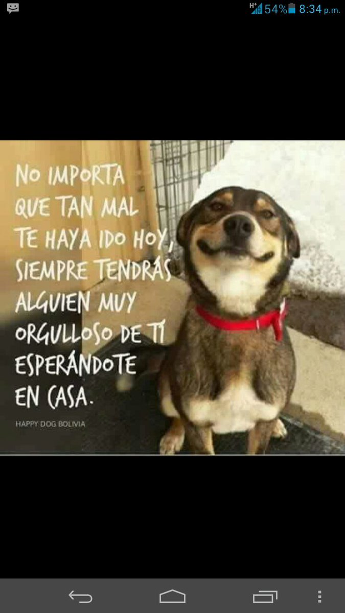 deynamles's tweet photo. RICOS SUEÑOS PARA TODOS!!! BENDICIONES Y UNA EXELENTE NOCHE!!!!DESDEL REFUGIO EN CD.SERDAN-PUE-MEX. HASTA MAÑANA!!! https://t.co/NX6xsZRpRs