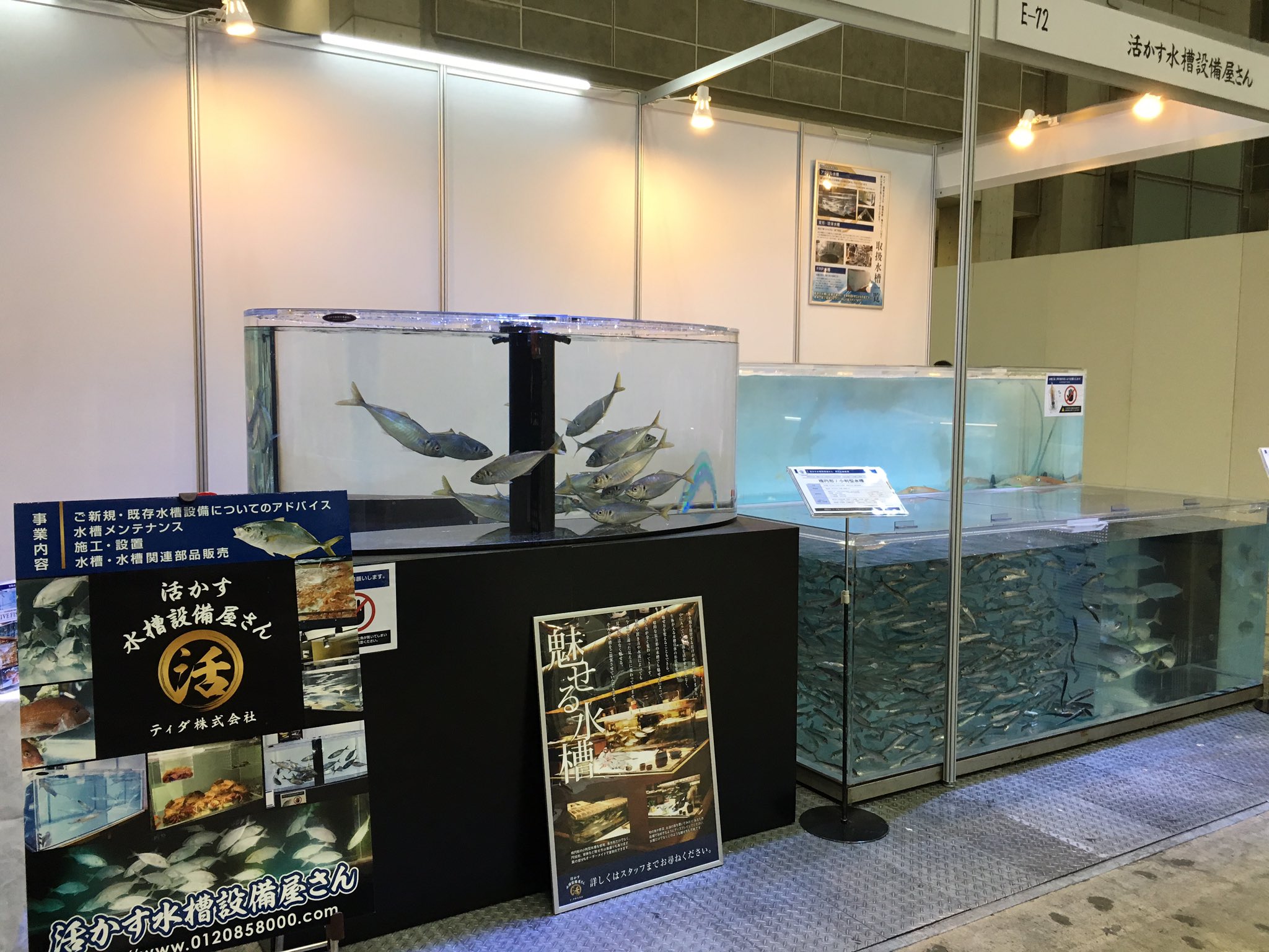 活かす水槽設備屋さん Ikasu8000 Twitter