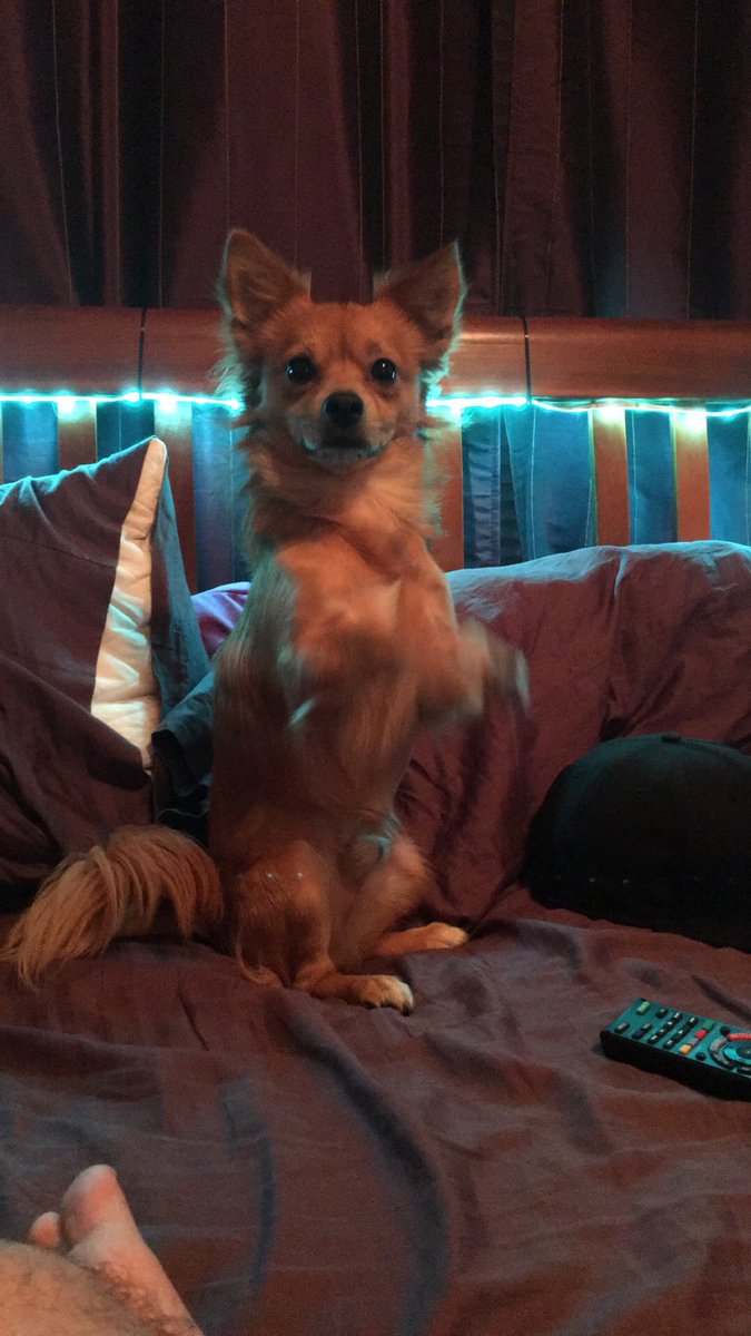 Tugboat's tweet photo. When bae catches you off guard 😩 https://t.co/mQnDAAGhM5