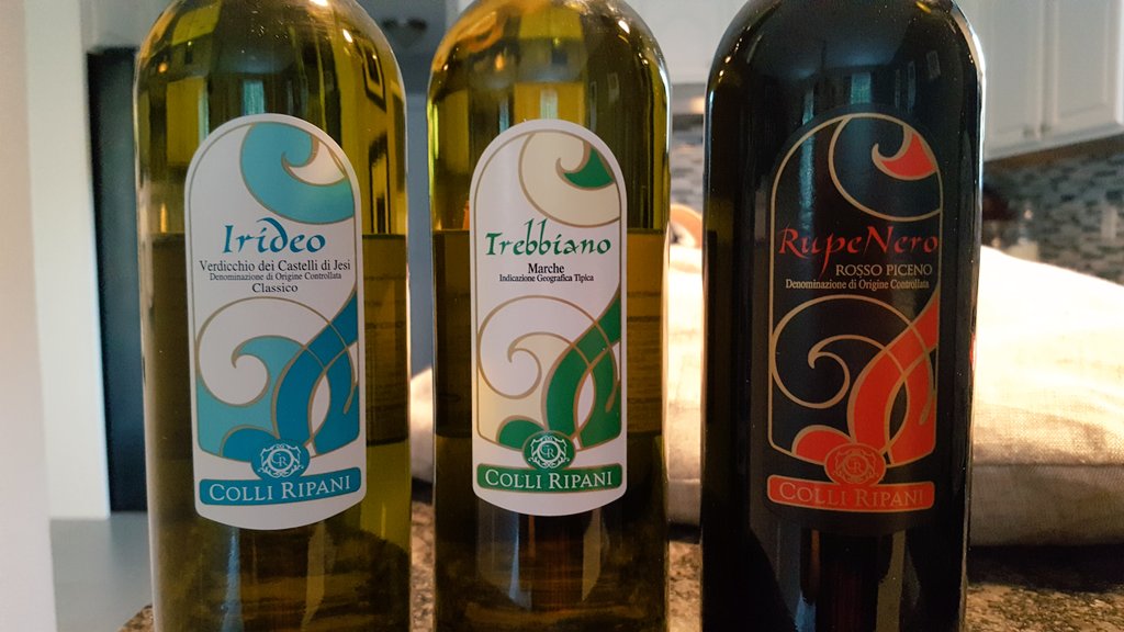 jillbarth's tweet photo. Thank you @WinesofMarche &amp; @ProtocolWine wine for this lovely introduction. Cheers to #winestudio ... https://t.co/uWHPKdIsf5