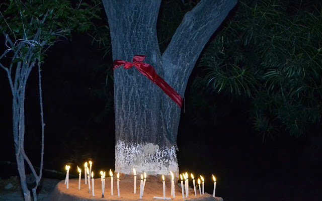 RedTapeMovement's tweet photo. On #RakshaBandhan org @RedTapeMovement; tie #RedTapes on Trees. #OathToSaveTrees
https://t.co/qJeQafqNGS #18Aug2016 https://t.co/7lhrCla4ER