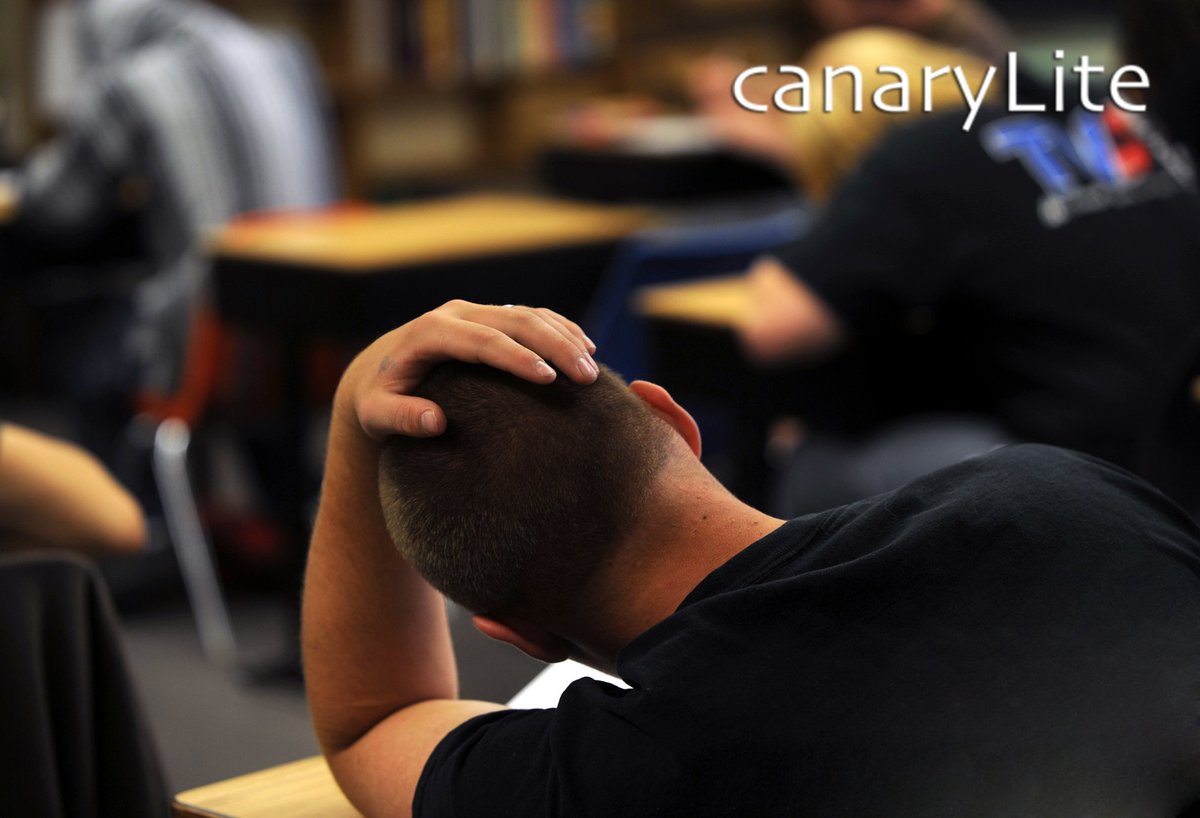 CanaryLite's tweet photo. Do you struggle with understanding project management? Will help you out. https://t.co/2XEE7EH1VM #ProjectManagement https://t.co/sQjXmepvje