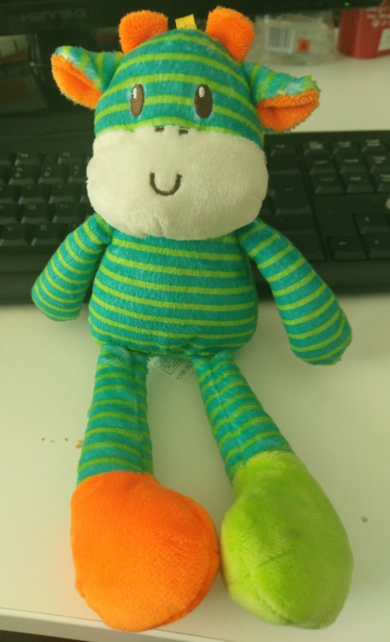 This little guy is having fun at our depot, but he'd really like to be reunited with his   family. Please RT!