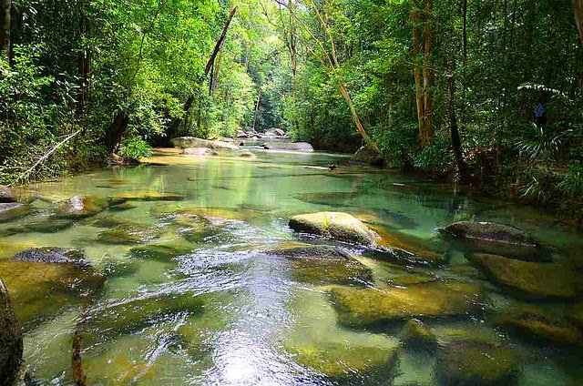 puteriarchy's tweet photo. These lata in Terengganu are so beautiful subhanallah 

Left: Lata Belatan, Jerteh
Right: Lata Cemerong, Dungun https://t.co/ZrVaBxagsW