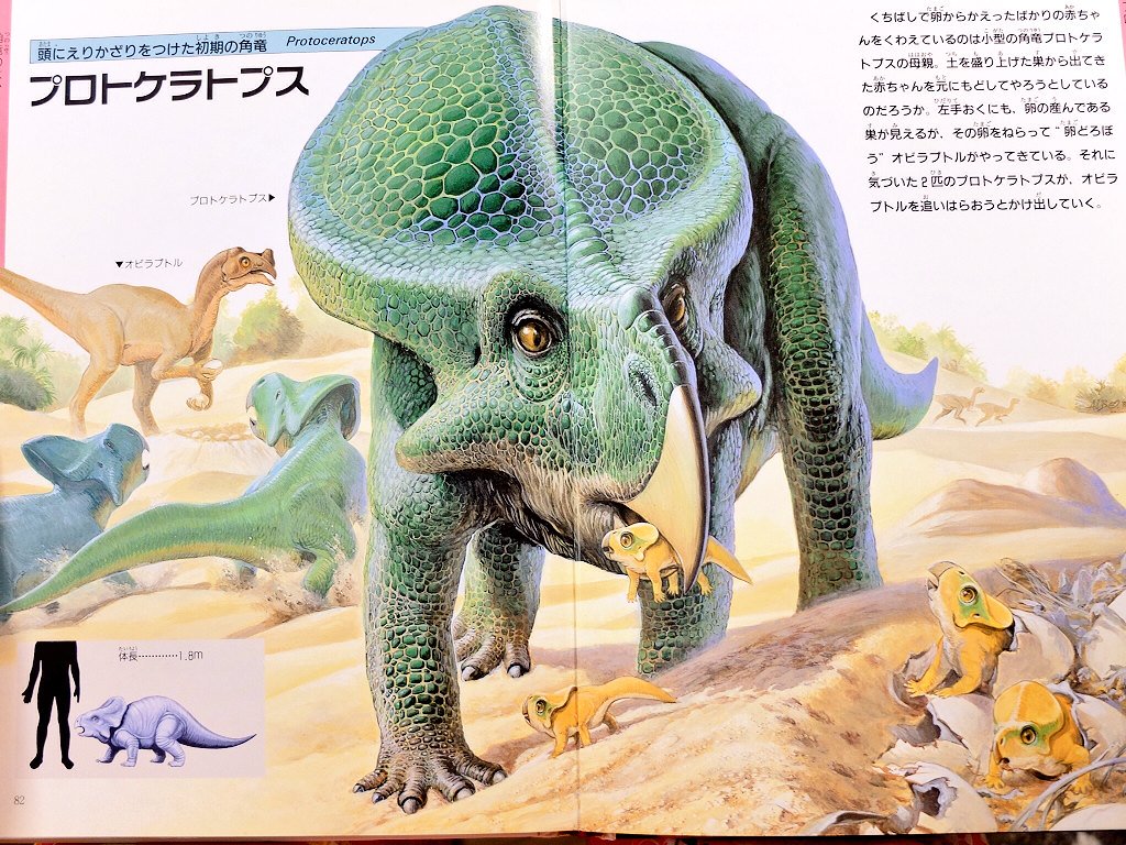 みき Twitterren スピノサウルスがこんな顔だったり テリジノサウルスが肉食だったり オビラプトルがしっかり卵泥棒してたり この頃はここまではわかってたんだって今との違いが楽しい