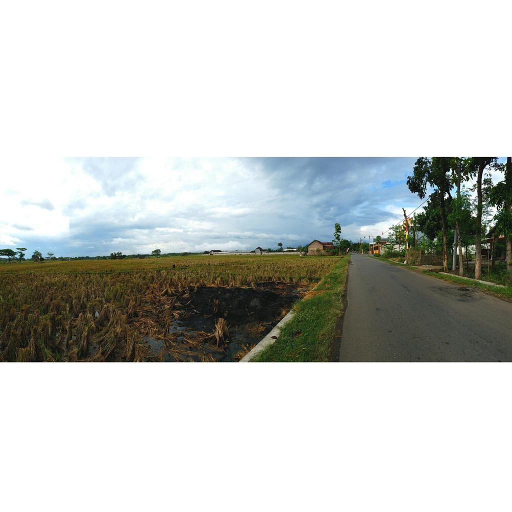 KatKucing's tweet photo. Merdeka Indonesia! 🌏 Happy Independence Day! #pcindonesia #RI71 https://t.co/sDPTpWBlQF