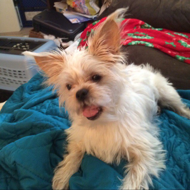 ✨😄Makemesmile.Come chat with #liveme Cassandra Case’s #onairnow~ liveme.com/media/en-us/?v…