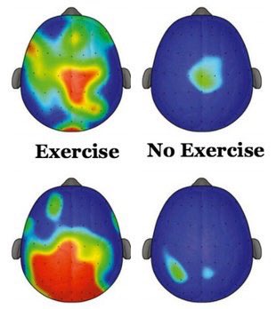 kennygibsonnhs's tweet image. Physical activity and exercise at every age is good for you and your brain. #GetActiveChallenge @exerciseworks