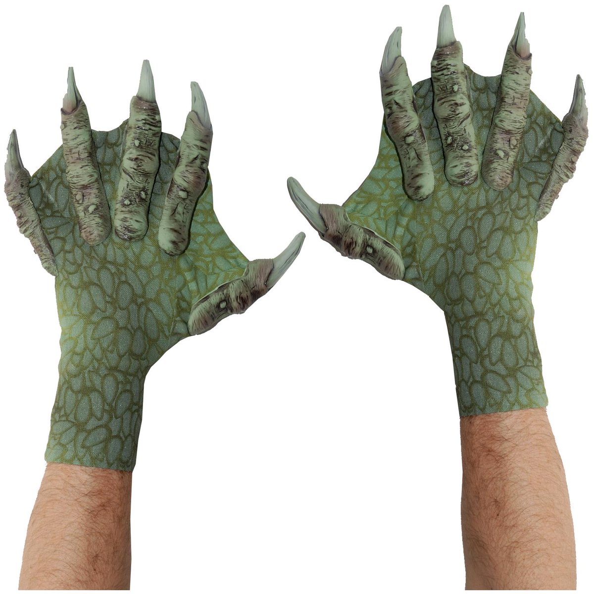 cosmeticsstore's tweet photo. Women's webbed sea creature gloves - green - one size fits most https://t.co/Ev2UVywk3j | https://t.co/eX9jFAYT7G https://t.co/yAM5tmy2sn