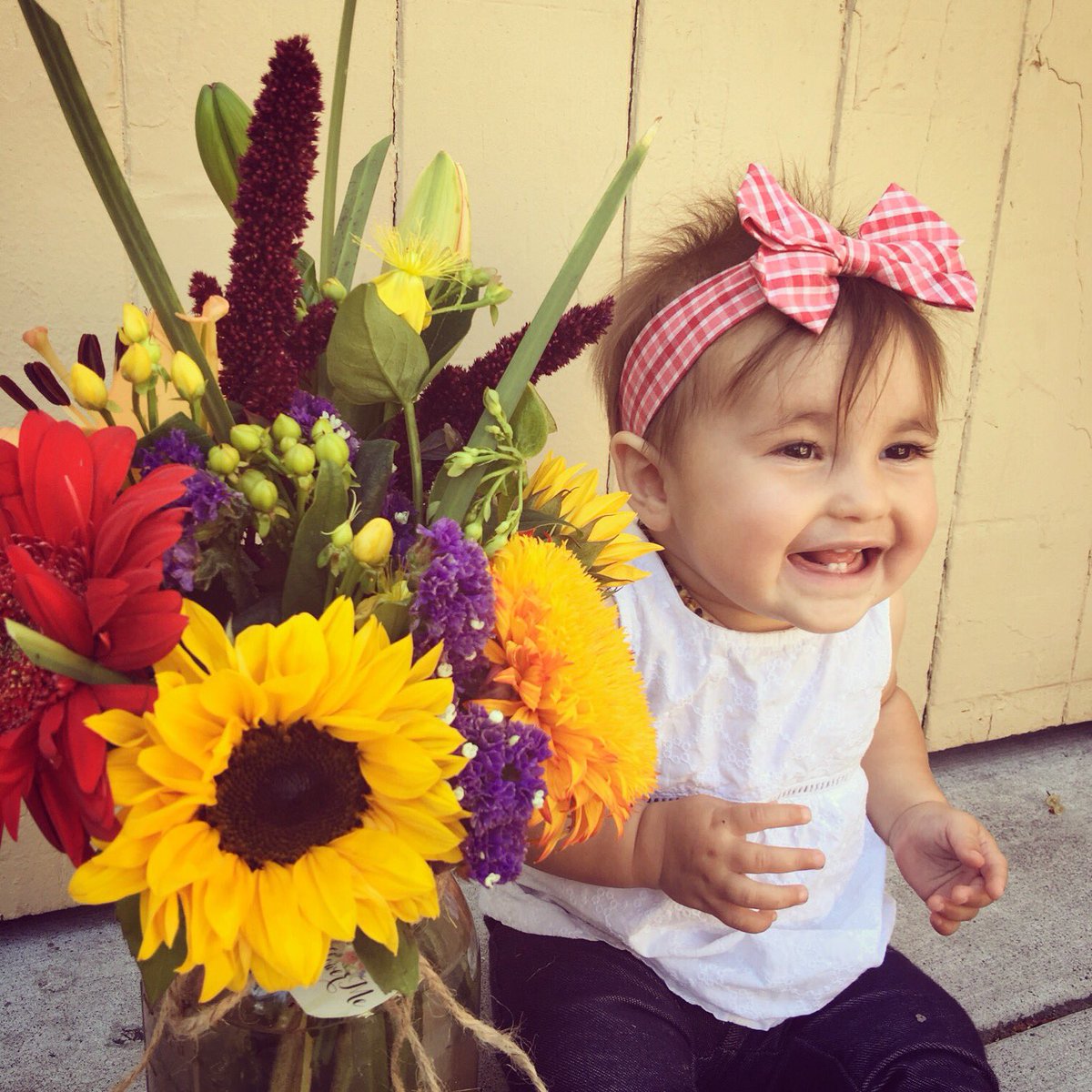 FlowerMe_'s tweet photo. #Happy #Tuesday this #cutie💗#flowerlovers #simplepleasures #startup #wildflowers #entrepreneurs #subscriptionflowers https://t.co/V8hElQKHNQ