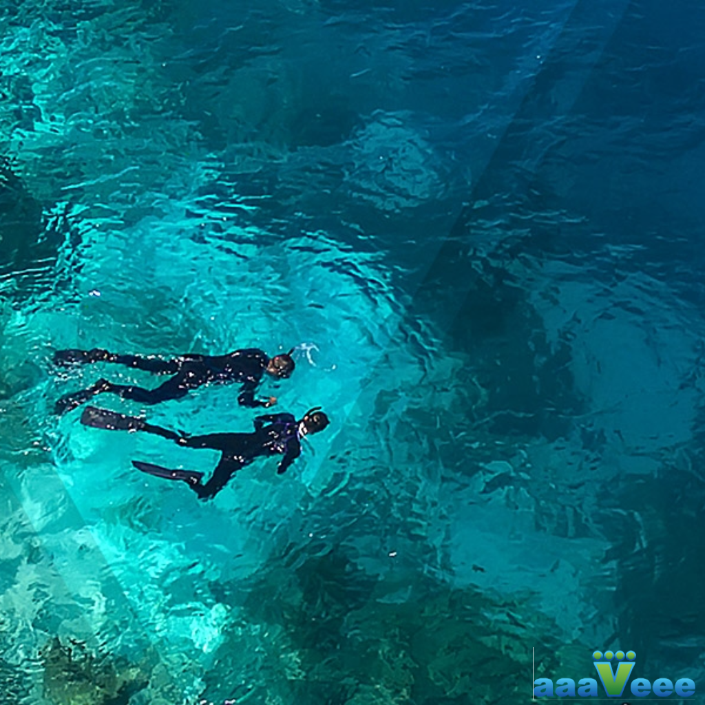 DestinationMv's tweet photo. Exploring the Magical @aaaVeeeMaldives 

#aaaVeee #Maldives https://t.co/ZzOPnT7cIE