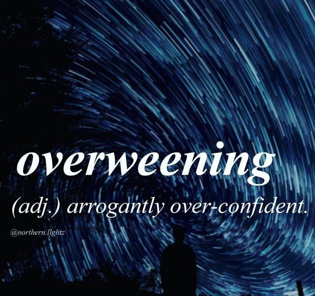 ShurkyJurky's tweet photo. Try not to be an overweeny 🐥#overweening https://t.co/9YSsZFLR7n