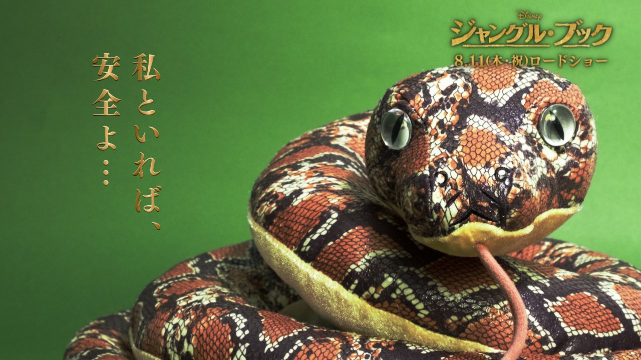 ディズニー スタジオ No Twitter その目を見ては いけません ジャングルブック カー ディズニー スタジオ No Twitter その目を見ては いけません ジャングルブック カー