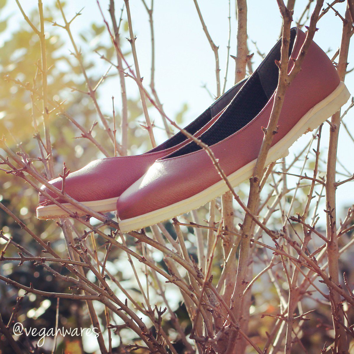 vegan wares shoes