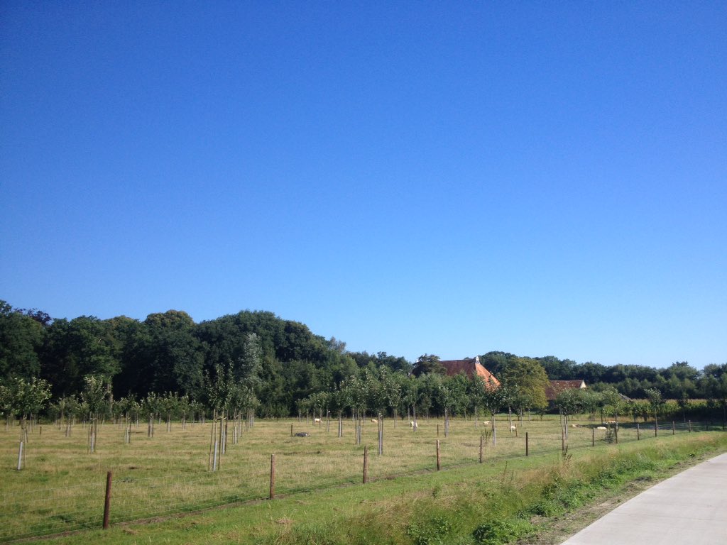 . Speciaal voor de dorstige mensen alleen vandaag een gekoelde 6p
heineken blik voor € 3,95 nergens goedkoper op=op