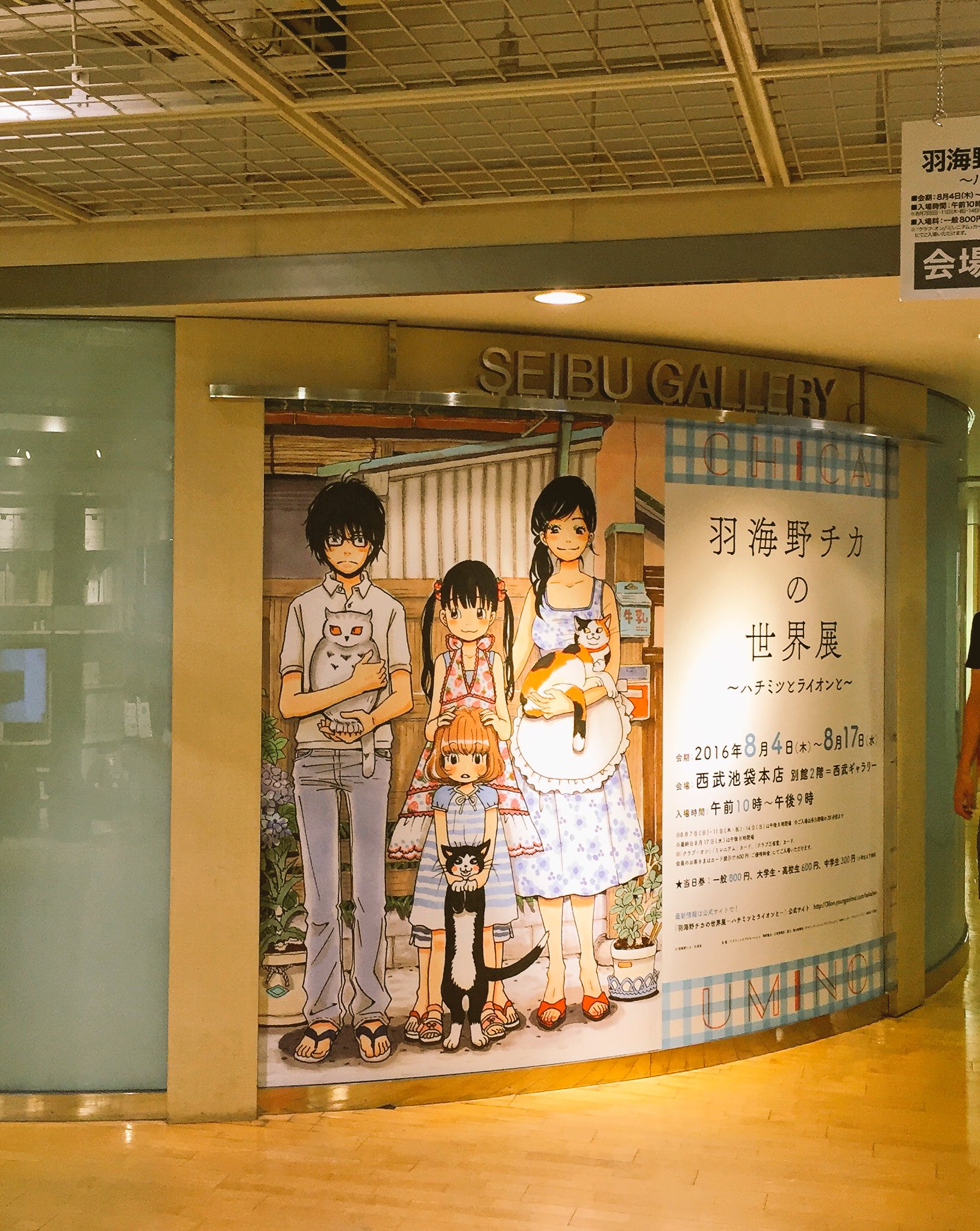 末次由紀 12 13ちはやふる50巻発売 羽海野チカ先生の原画展 最終日に飛び込めました はーもう可愛すぎるし切実すぎる ごまかしのきかない 原画 の力を感じました グッズもたくさん買えて幸せです T Co Pa7z2om04c Twitter