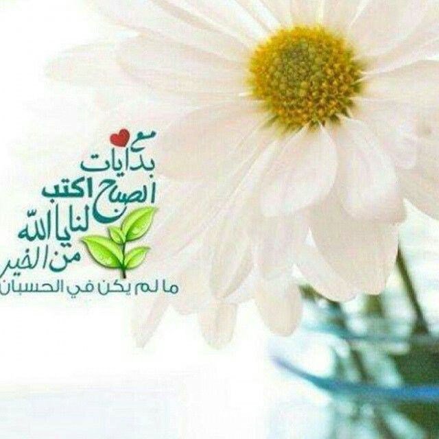 alsaajy77's tweet photo. صباح الخير https://t.co/b0KbW4Aik2