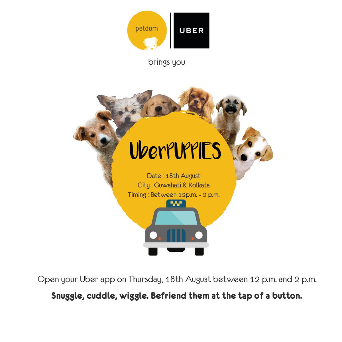 Petdom15's tweet photo. #UberPUPPIES in #Guwahati &amp; #Kolkata on #thursday 12-2pm. Check out for more detail: https://t.co/mfRBniGKf4 #dogs https://t.co/Dha1XRDm8h