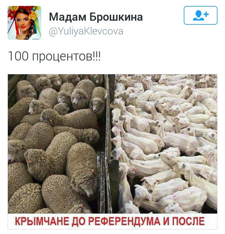 Медведев - губернаторам: "Просьба не рассказывать о трудностях жизни" - Цензор.НЕТ 6630