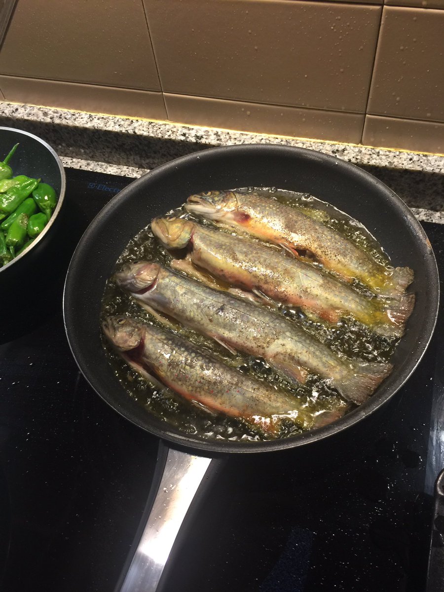 Pere Moles ——— tweet media