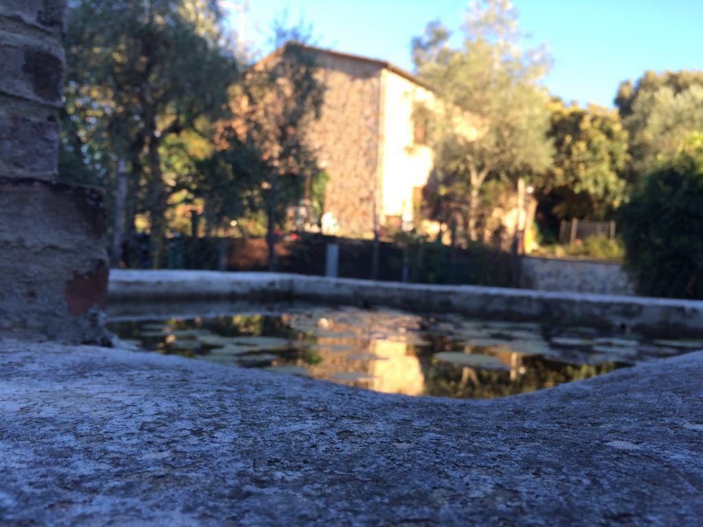 stecorb's tweet image. Ferragosto al Castello di Tocchi …gelsodicastelloditocchi.wordpress.com/2016/08/17/fer…