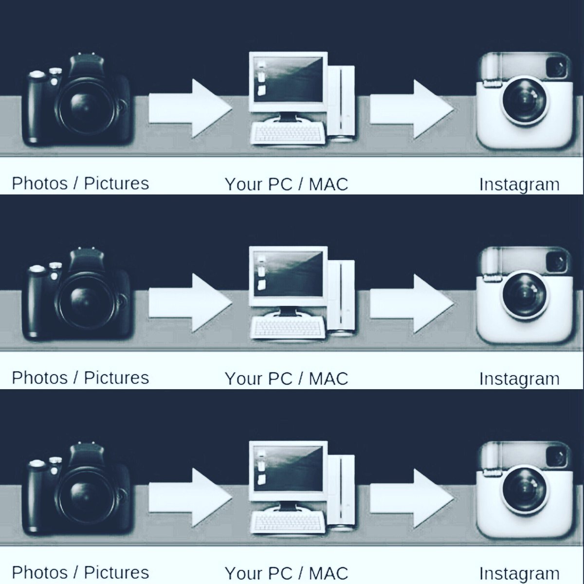 Mypushup tweet media