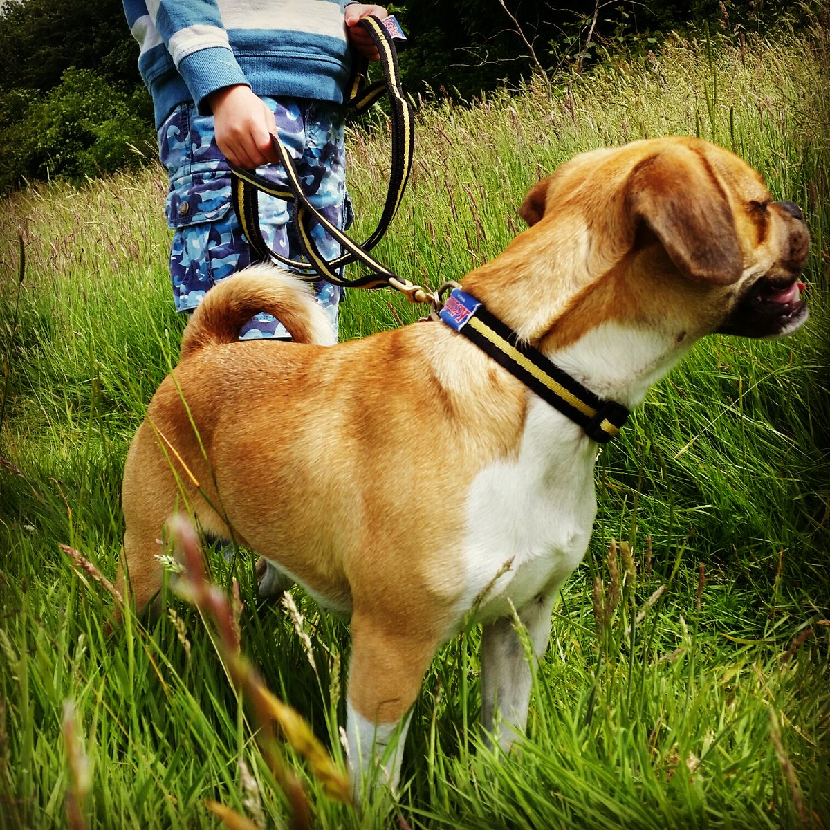 Grippy Leads tweet media