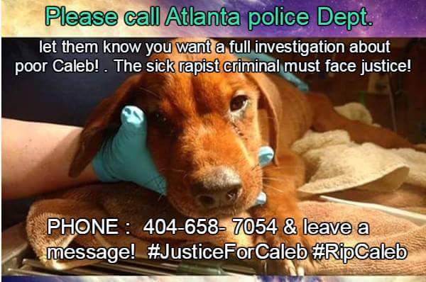 luminni's tweet photo. Cigarette burns, cuts, TORTURED! help GA police find murderer. No one should die like this #JusticeForCaleb https://t.co/NREMofW3nL